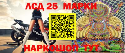 тгк Новодвинск