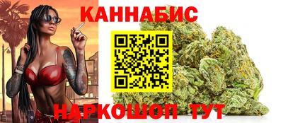 тгк Новодвинск