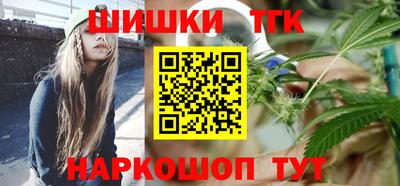 тгк Новодвинск