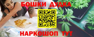 тгк Новодвинск