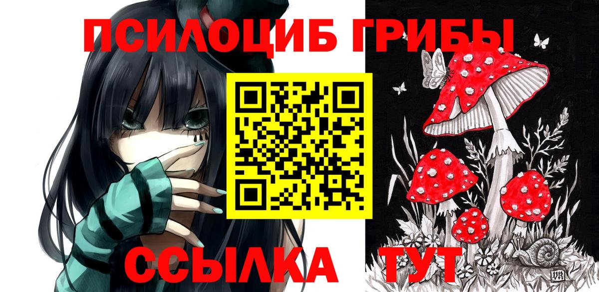 Галлюциногенные грибы Psilocybine cubensis Родники